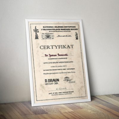 2007-certyfikat-sztuczne-krazki-miedzykregowe-mini